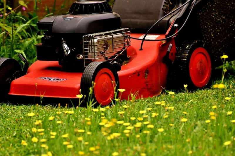 what time to mow lawn on sunday	