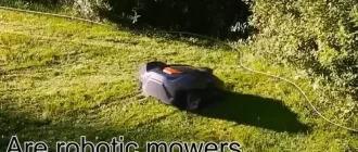 Are robotic mowers better for your lawn?