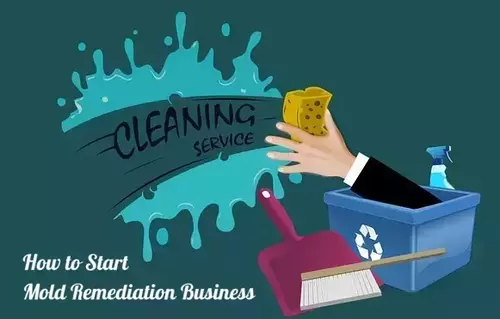 How to Start Mold Remediation Business