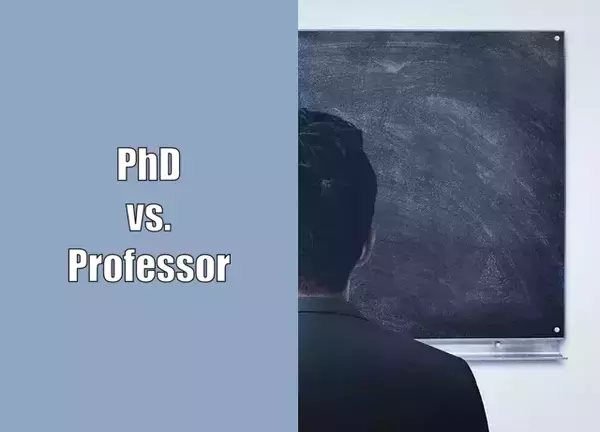 PhD vs. Professor