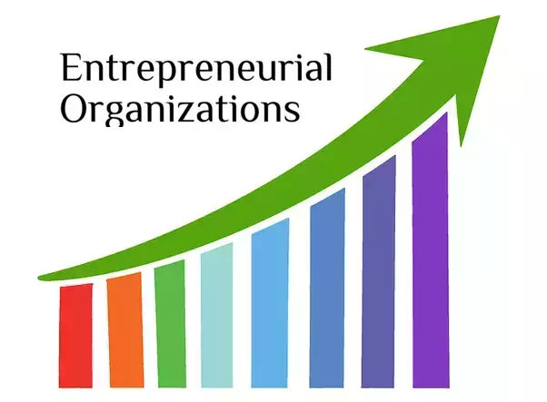 Understanding an Entrepreneurial Organization