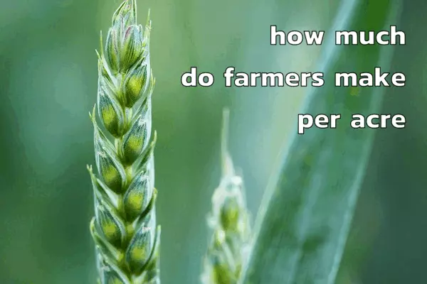 how much do farmers make per acre