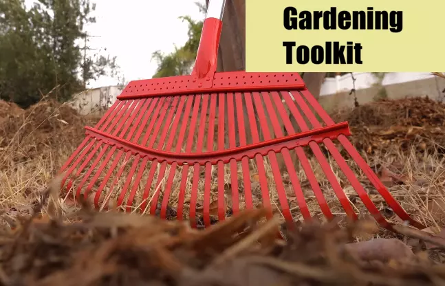 How to Choose the Right Gardening Toolkit for Your Needs